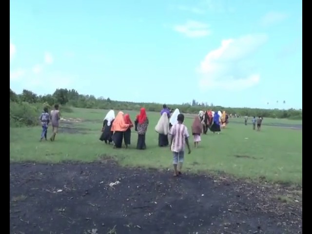 Jozani Mangrove plantation Amina Kashoro